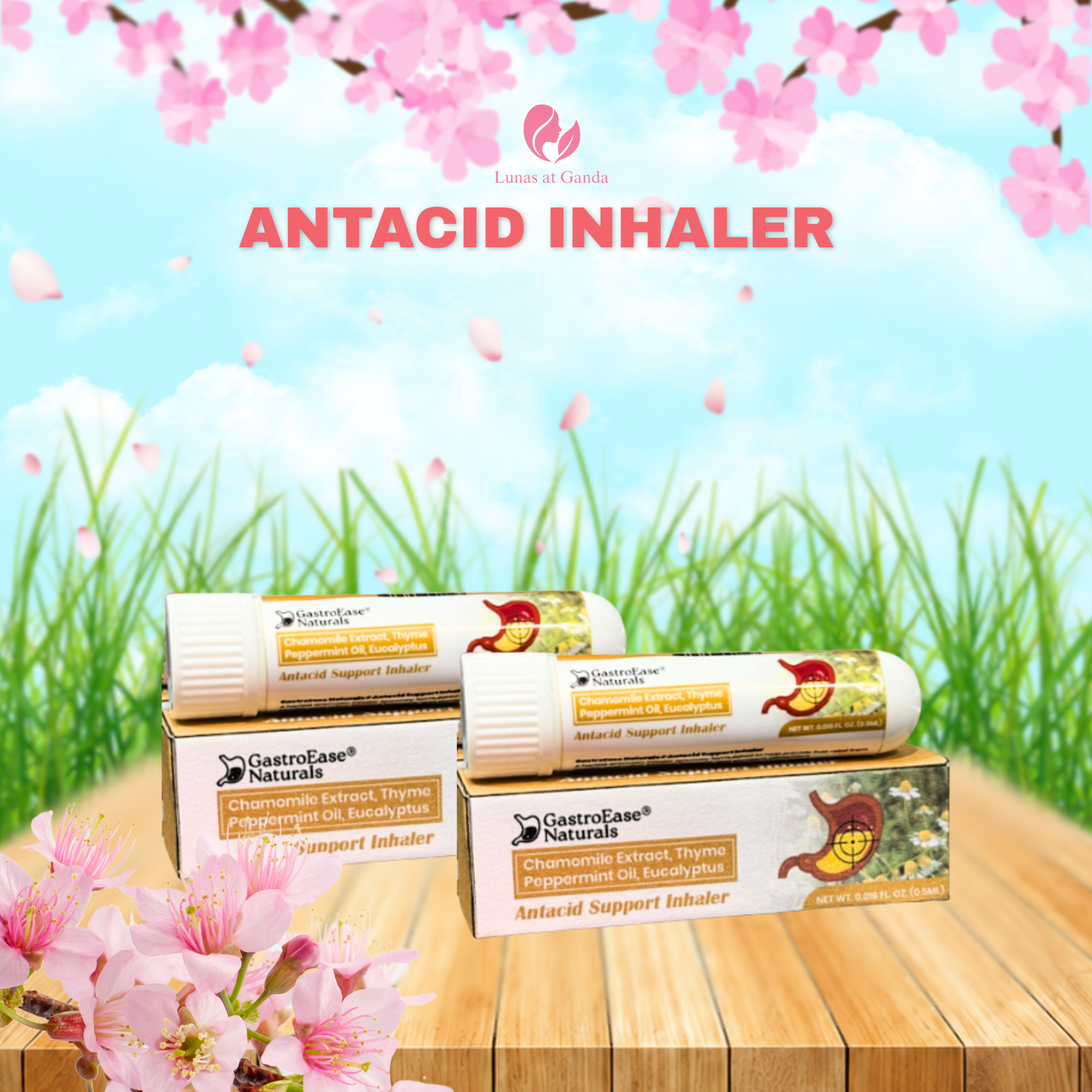 Antacid Support Inhaler Buy 1 Take 1
