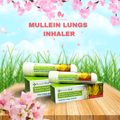 Mullein Lungs Inhaler Buy 1 Take 1
